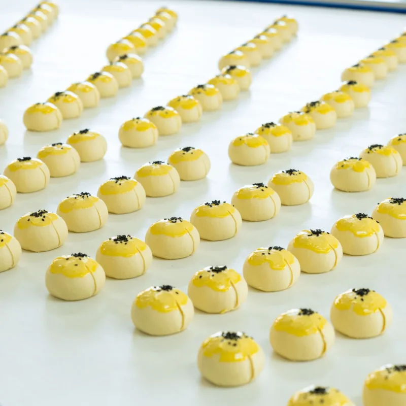 Home 15 DSC3319 1 scaled 1