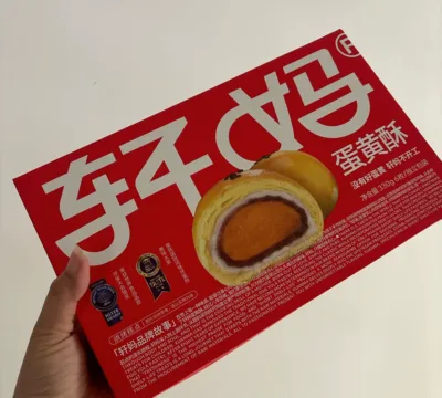 Home 23 xuanma review 2 1